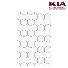 KIA CERAMIC 25X40 WT HEXAGON BLACK KW1